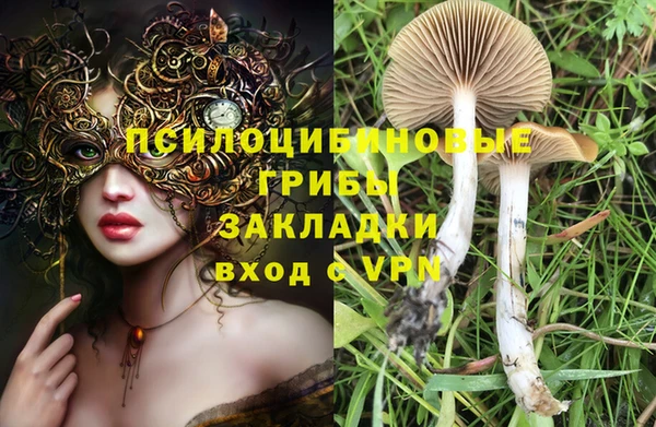 гашишное масло Белокуриха