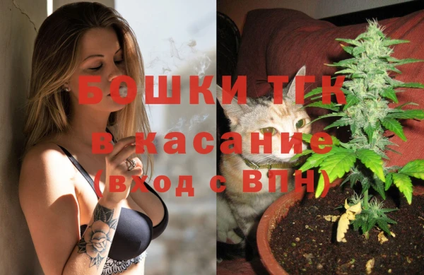 сатива Белоозёрский