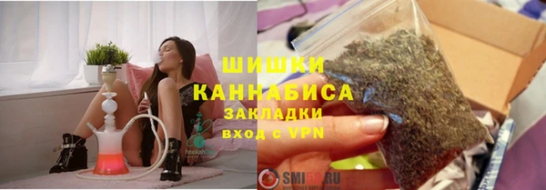 сатива Белоозёрский