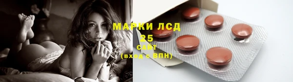 сатива Белоозёрский