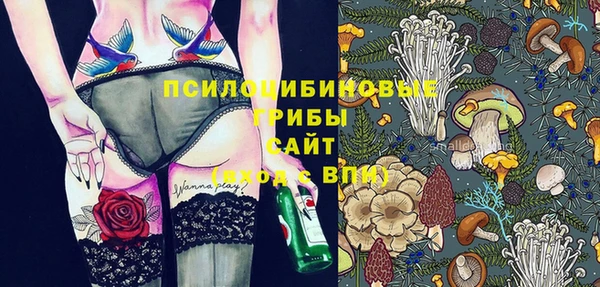 сатива Белоозёрский