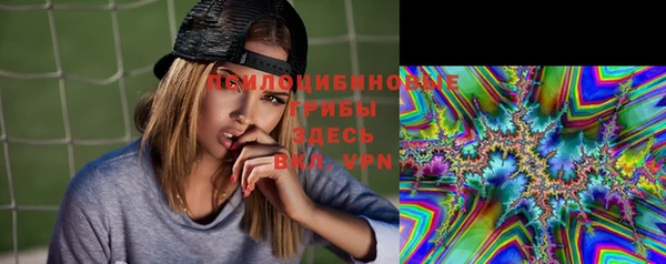 сатива Белоозёрский